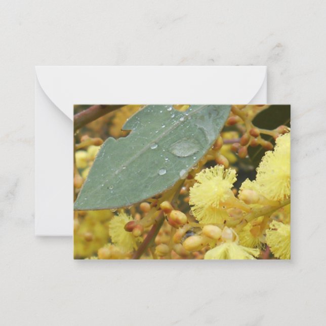 Carte Golden Wattle Note (Devant)