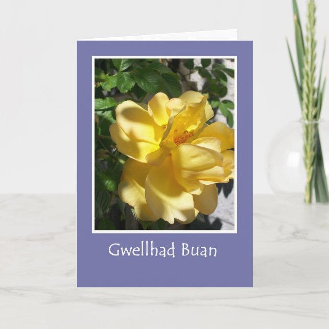 Carte Golden Yellow Rose Get Well Card, Salutation gallo (Devant)