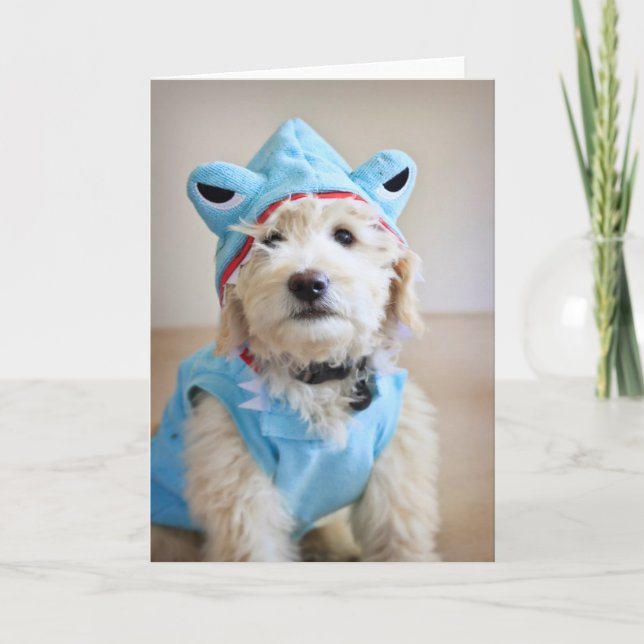 Carte Goldendoodle En Costume De Requin (Devant)