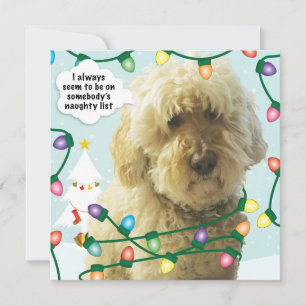 Carte Goldendoodle Noël, Doodle Fun