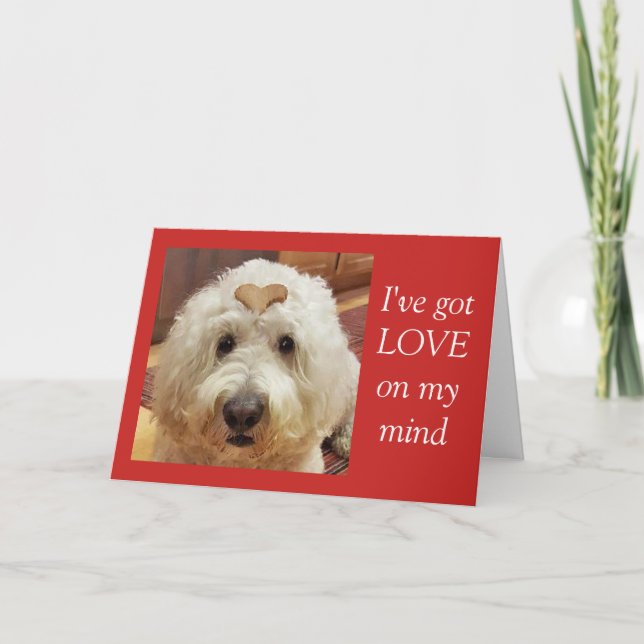 Carte Goldendoodle Valentine's Day (Devant)
