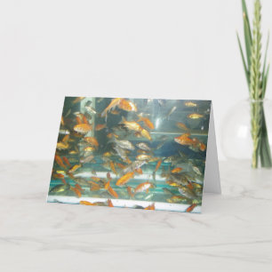 Carte "Goldfish"