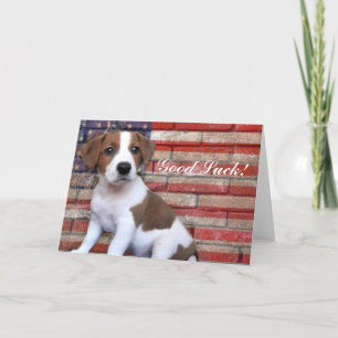 Carte Good Luck Jack Russell Terrier