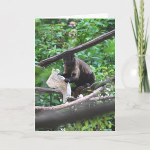 Carte Good News Monkey exprime ses félicitations