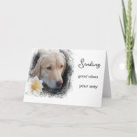 *~ Good Vibes Lab Fleur AP61 Or Triste Chien