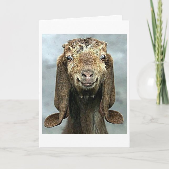 CARTE GOOFY GOAT DIT QUE VOTRE ANNIVERSAIRE A L'AIR *BON (Devant)