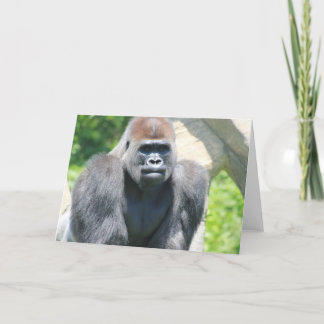 Carte Gorilla Argent Back