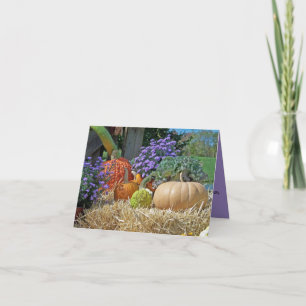 Carte Gourdes Citrouilles colorées Fleurs Poil Customisé