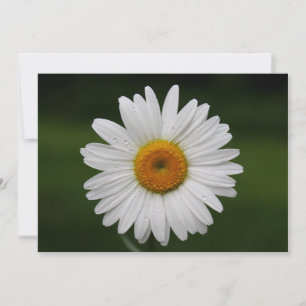 Carte Gouttes de pluie sur des pétales