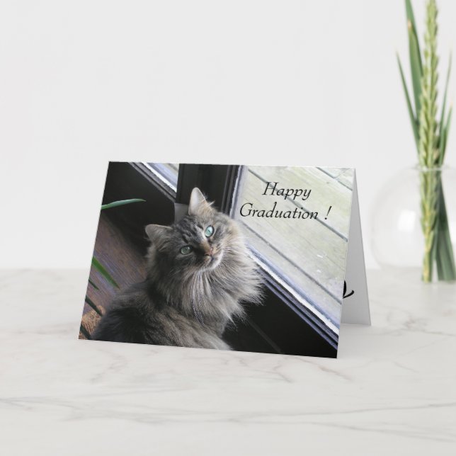 Carte Graduation de Pretty Cat Say (Devant)