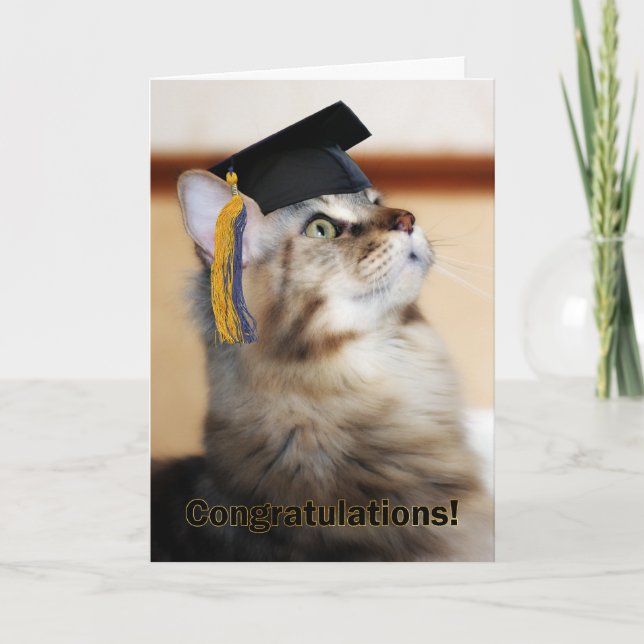 Carte Graduation Félicitations Chat Portant un carton (Devant)