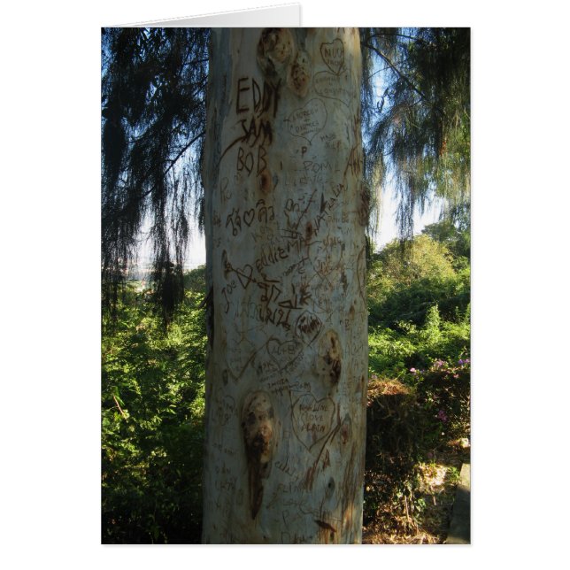 Carte Graffiti pour arbre thaïlandais (Devant)