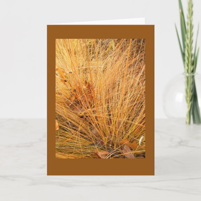 Carte Graine de prairie en blanc d'automne (Devant)