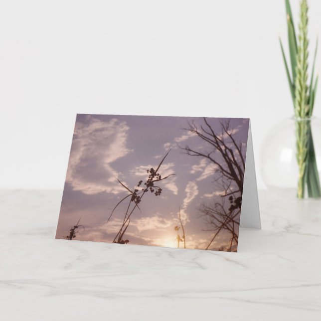 Carte Graines dans le début de soirée (Devant)