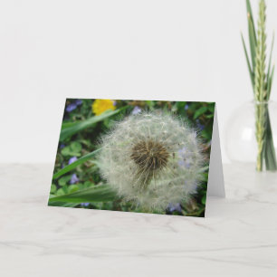 Carte Graines de Dandelion