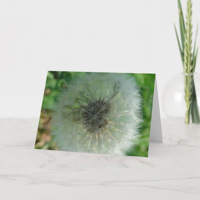 Carte Graines de Dandelion (Devant)
