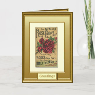 Carte Graines du passé, Salutations, Rose
