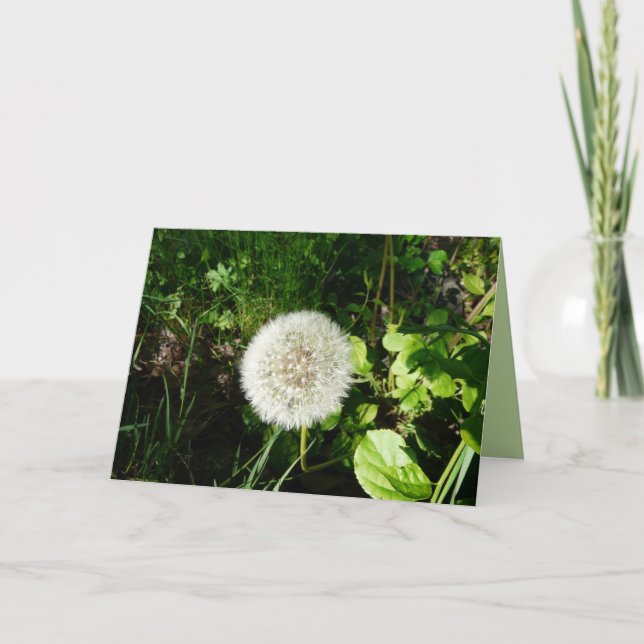 Carte Graines prêtes à voler (Devant)