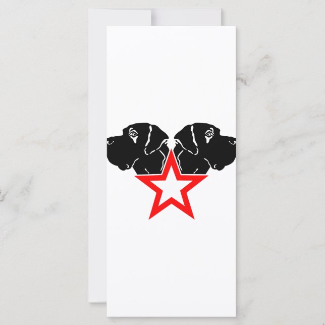 Carte Grand Danois Star Head (Devant)