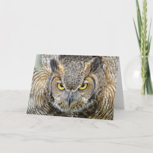 Carte Grand hibou à cornes après des yeux (Devant)