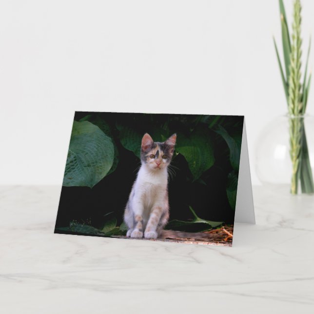 Carte Grand monde (Devant)