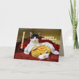 Carte Grand neveu Joyeux Kitten d'anniversaire avec Tige