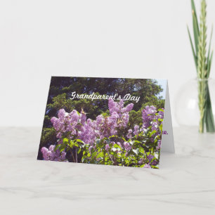 Carte Grand-parents Papillons de jour sur l'arbuste Lila