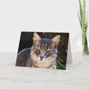 CARTE GRAND PORTRAIT TURQUE CHAT