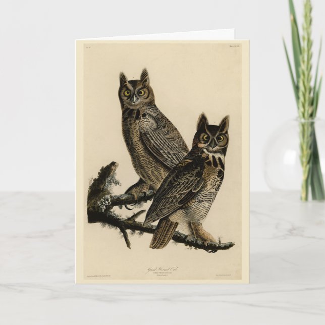 Carte Grande Chouette à la corne des oiseaux d'Amérique  (Devant)