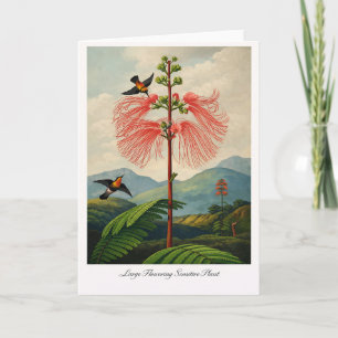 Carte Grande plante sensible à fleurs - Botanique modern