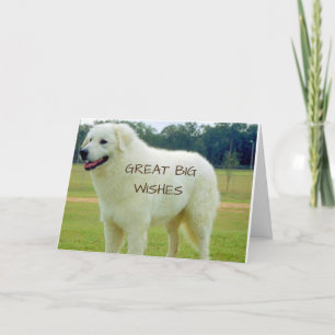 CARTE GRANDS "GRANDS VŒUX" POUR VOUS SUR "ANNIVERSAIRE"