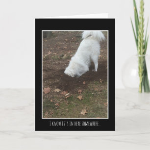 Carte Grands Pyrénées