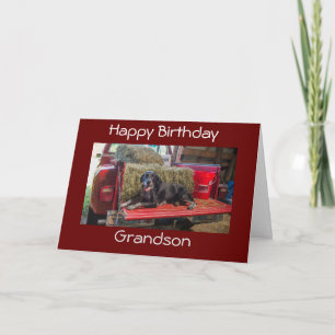 CARTE ***GRANDSON*** JEUX ANNIVERSAIRE