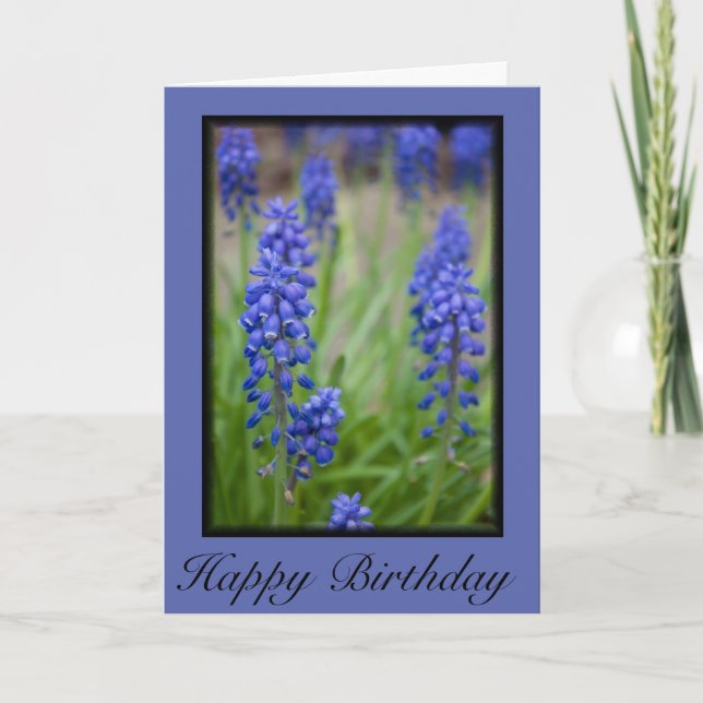 Carte Grape Hyacinth Joyeux anniversaire (Devant)