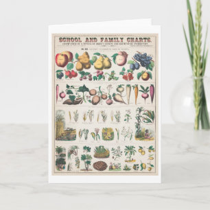 Carte Graphique botanique vintage : Utilisation économiq