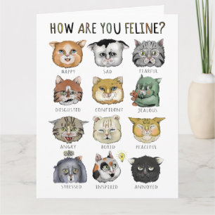 Carte Graphique des Humeurs Drôles de Chat Comment allez