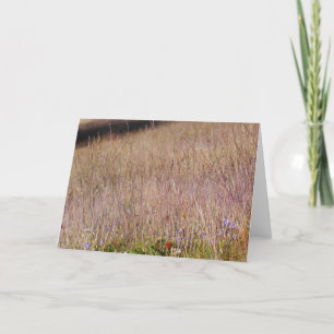 Carte Grass et Fleurs sauvages violets