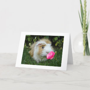 CARTE GRATEFUL GERBIL HEUREUX C'EST "VOTRE" ANNIVERSAIRE