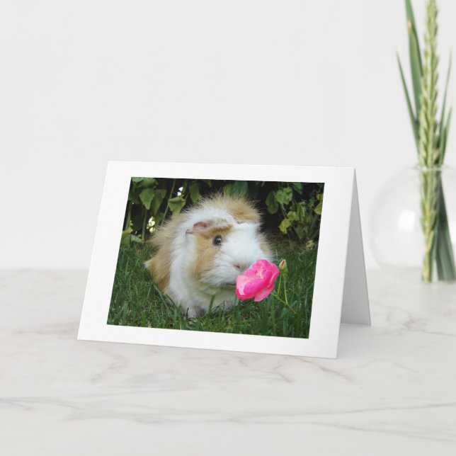 CARTE GRATEFUL GERBIL HEUREUX C'EST "VOTRE" ANNIVERSAIRE (Devant)