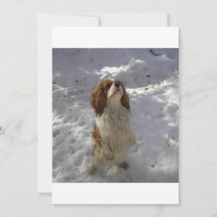 Carte gravier dans la neige