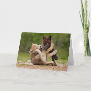 Carte Gray Wolf Pups Wrestling