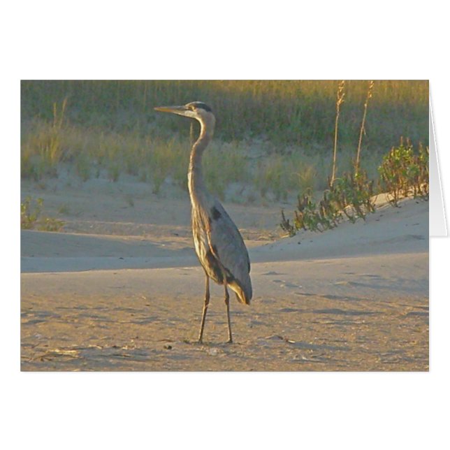 Carte Great Blue Heron (Devant horizontal)