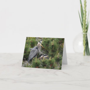 Carte Great Blue Heron et ses bébés