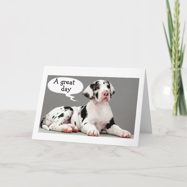 CARTE GREAT DANE VOUS DIT "GREAT DAY" HEUREUX ANNIVERSAI (Devant)