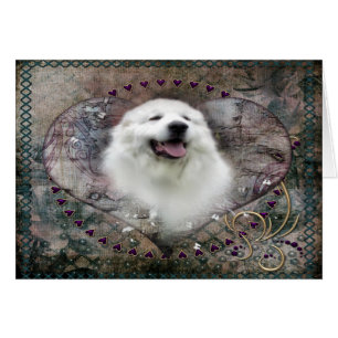 Carte Great Pyrenees - "Beautiful Benny"