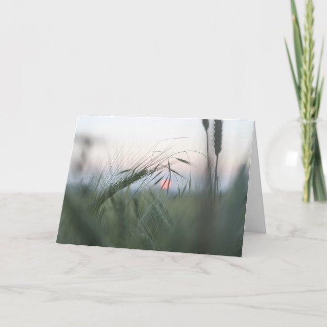Carte Green Cornfield Nature Photo (Devant)