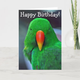 Carte Green parrot birthday greeting card