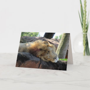 Carte Greetin Lion dormant