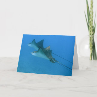 Carte Greeting Card avec Ocean Eagle Rays Maui