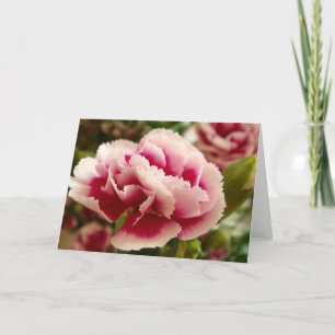 Carte Greeting Cards